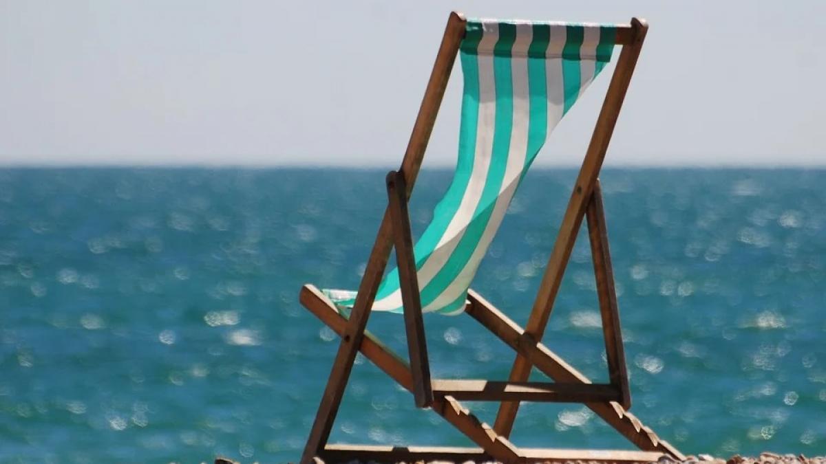 scumpiri vacante 2022 combustibil alimente