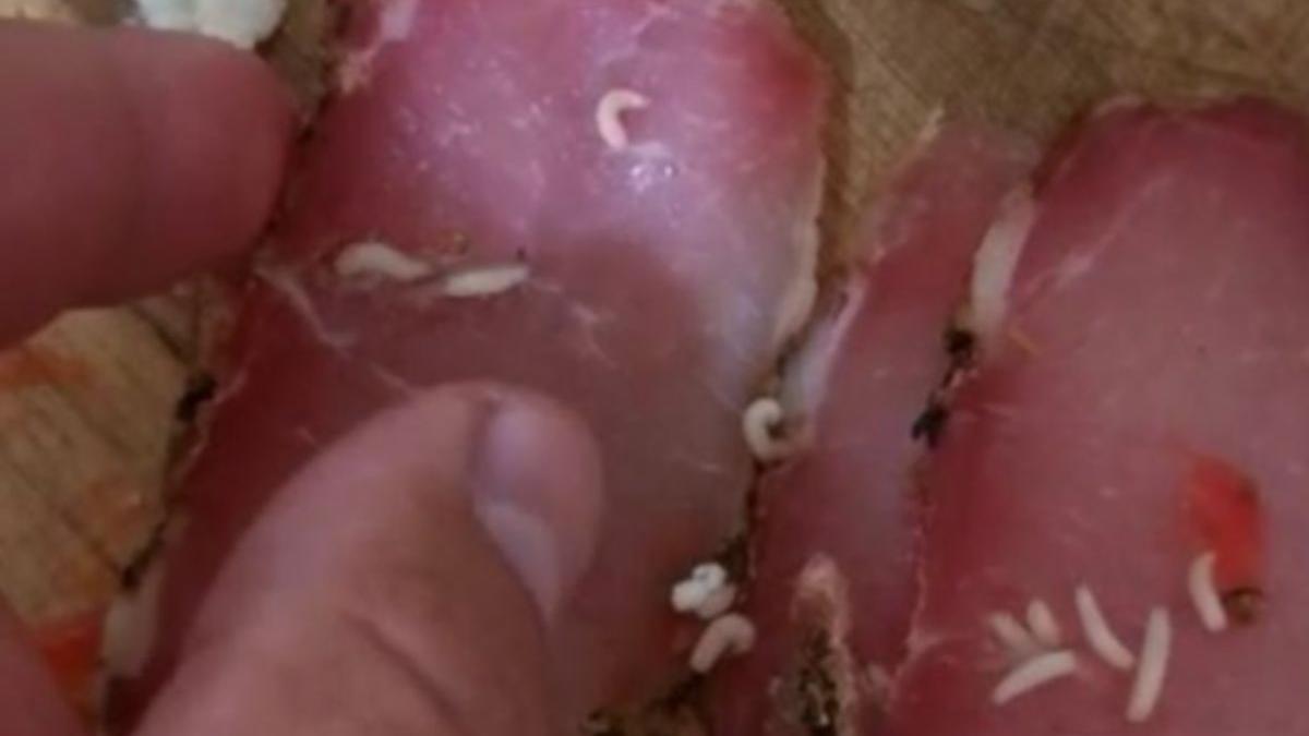 carne viermi magazin botosani