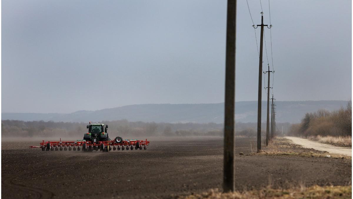 criza alimentara razboi ucraina