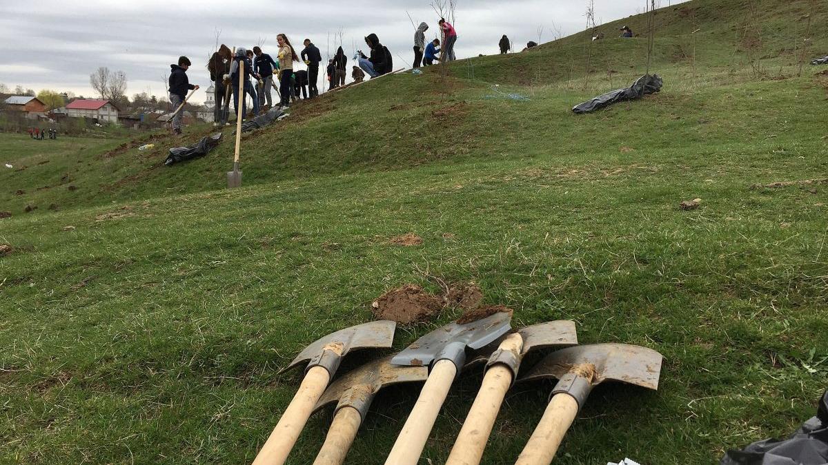 comisia europeana regenerarea padurilor romania