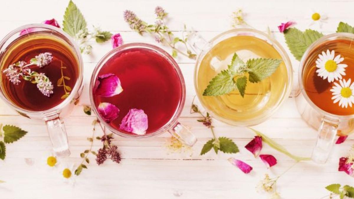 floarea care ajuta la stimularea imunitatii si reglarea metabolismului