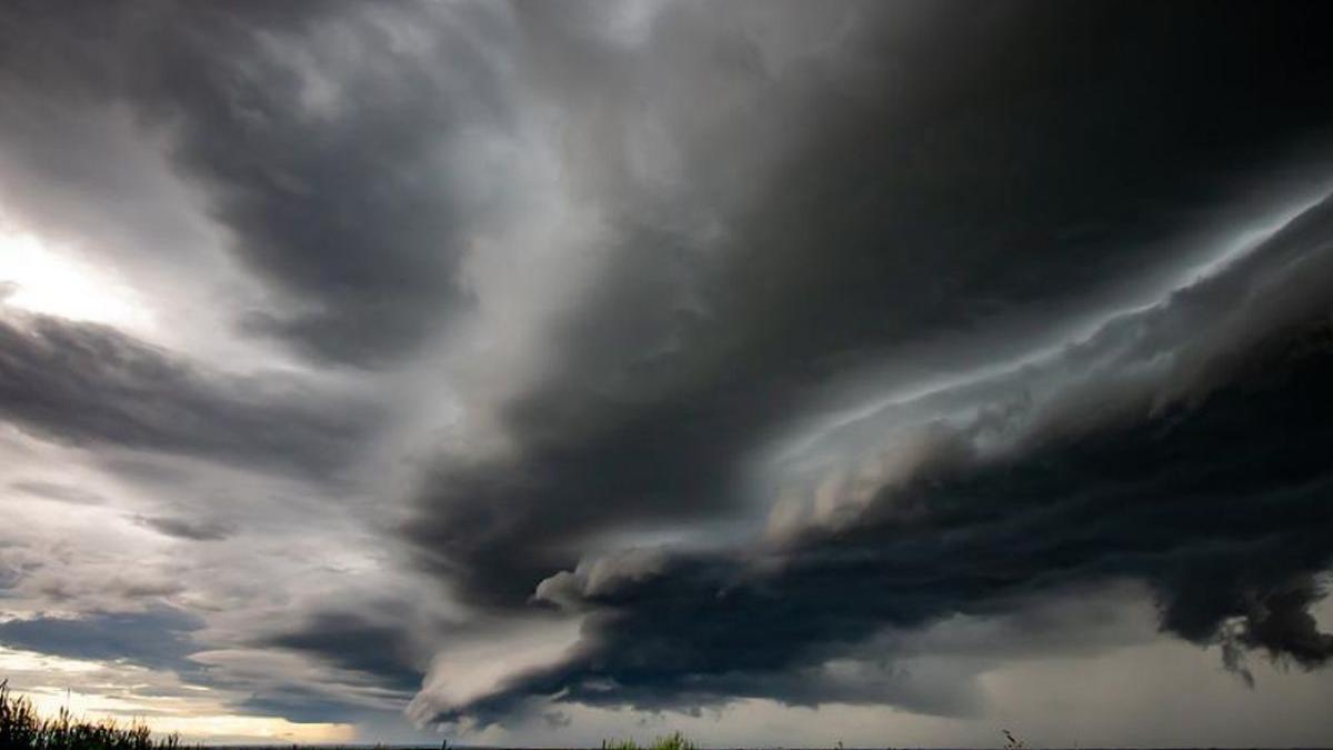 cod portocaliu vijelie satu mare