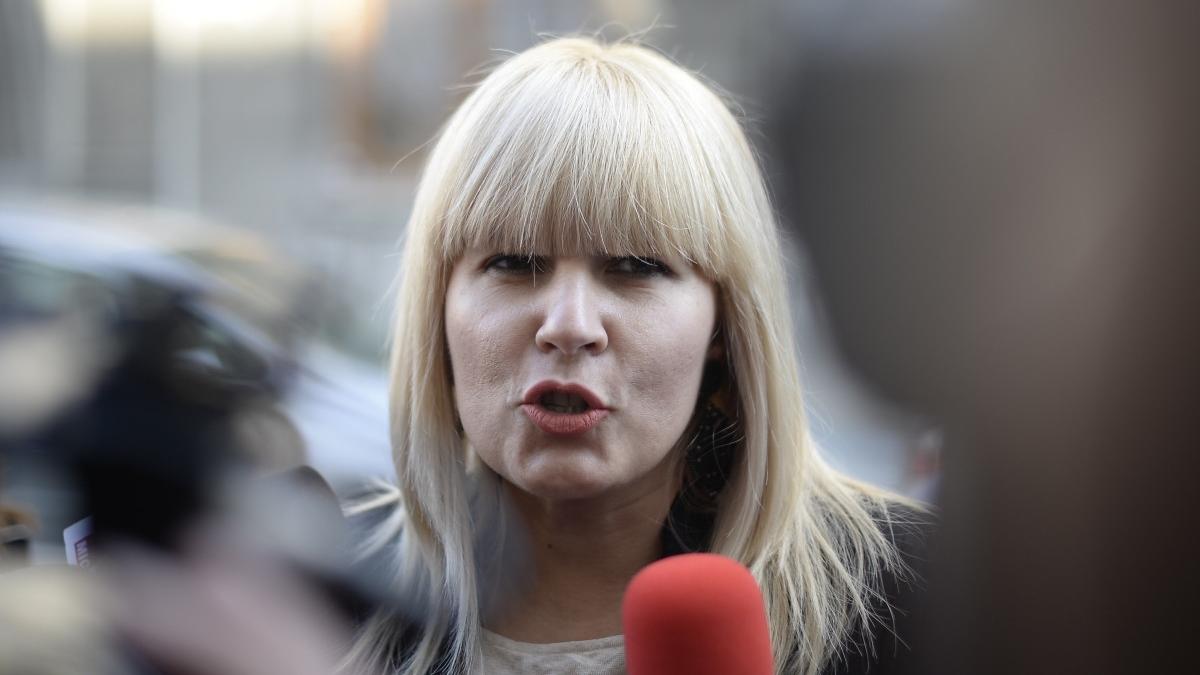 elena udrea mesaj catalin predoiu abuz