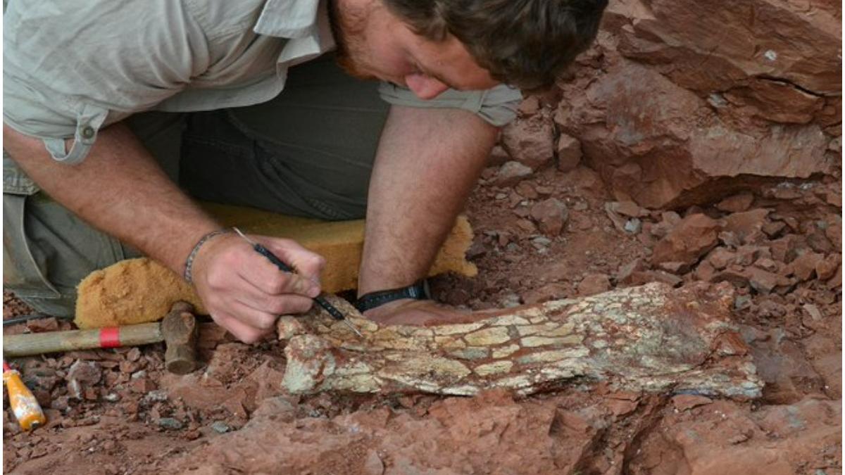 oameni stiinta descoperire ramasite creatura preistorica infricosatoare dragonul mortii