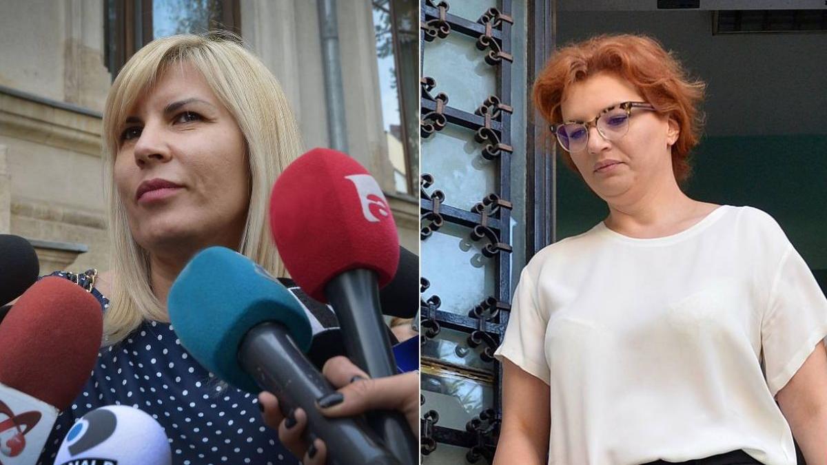 ccr decizie pe intreruperea prescriptiei raspunderii penale elena udrea si ioana basescu ar putea