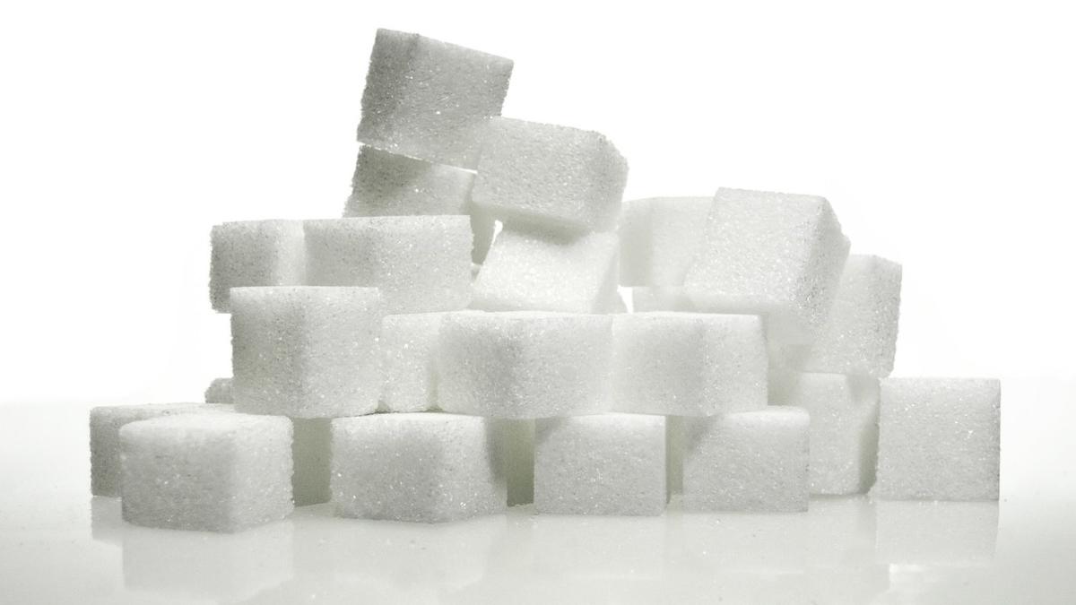 fabrica de zahar ludus cumparata statul roman