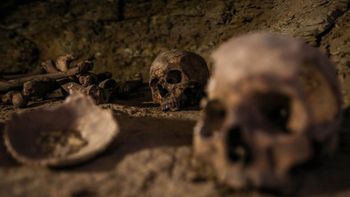 marea britanie canibalism propaganda rusa