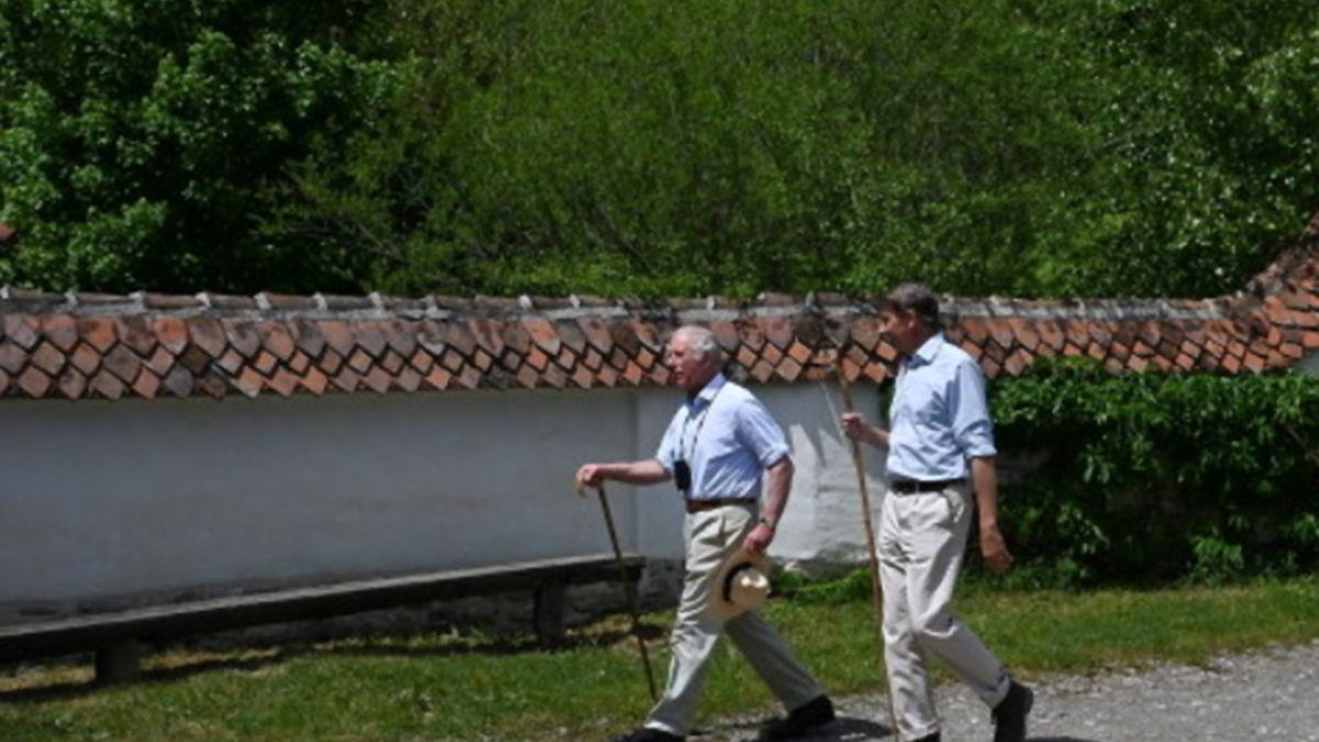 printul charles casa de vacanta viscri