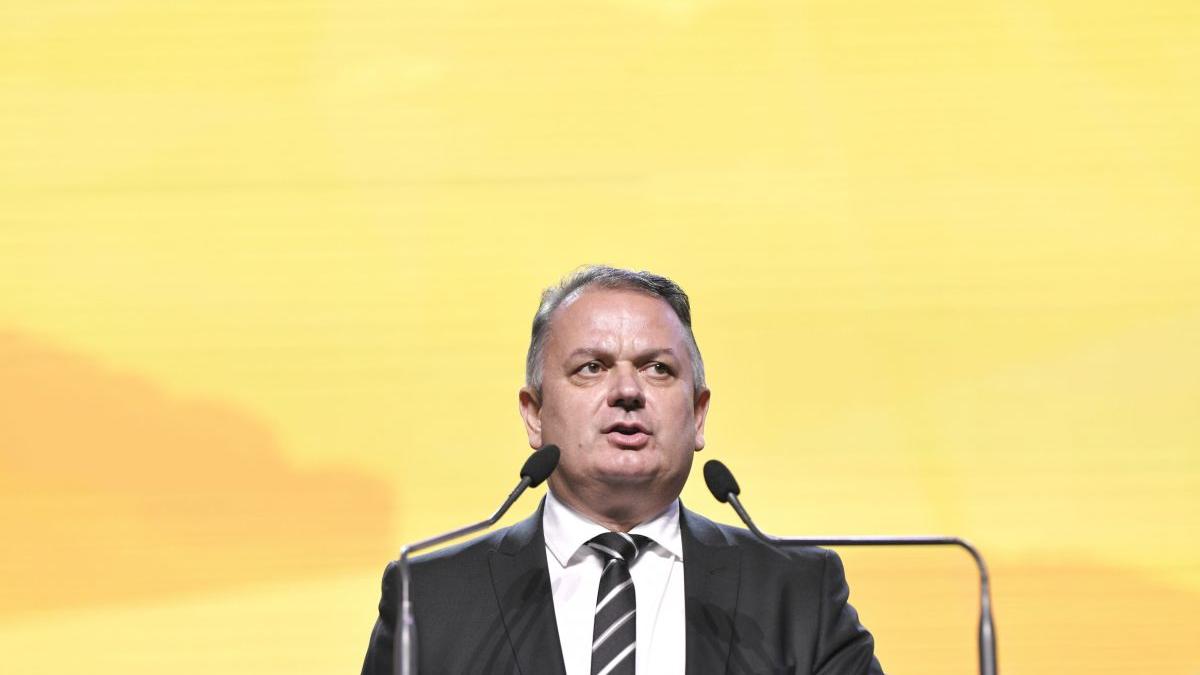 virgil guran noul vicepresedinte pnl