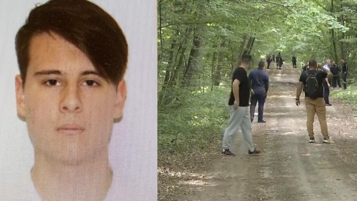 mobilizare forte padurea baneasa baiat 17 ani disparut arme albe