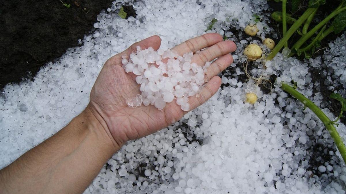 vreme extrema culturi solarii distruse olt