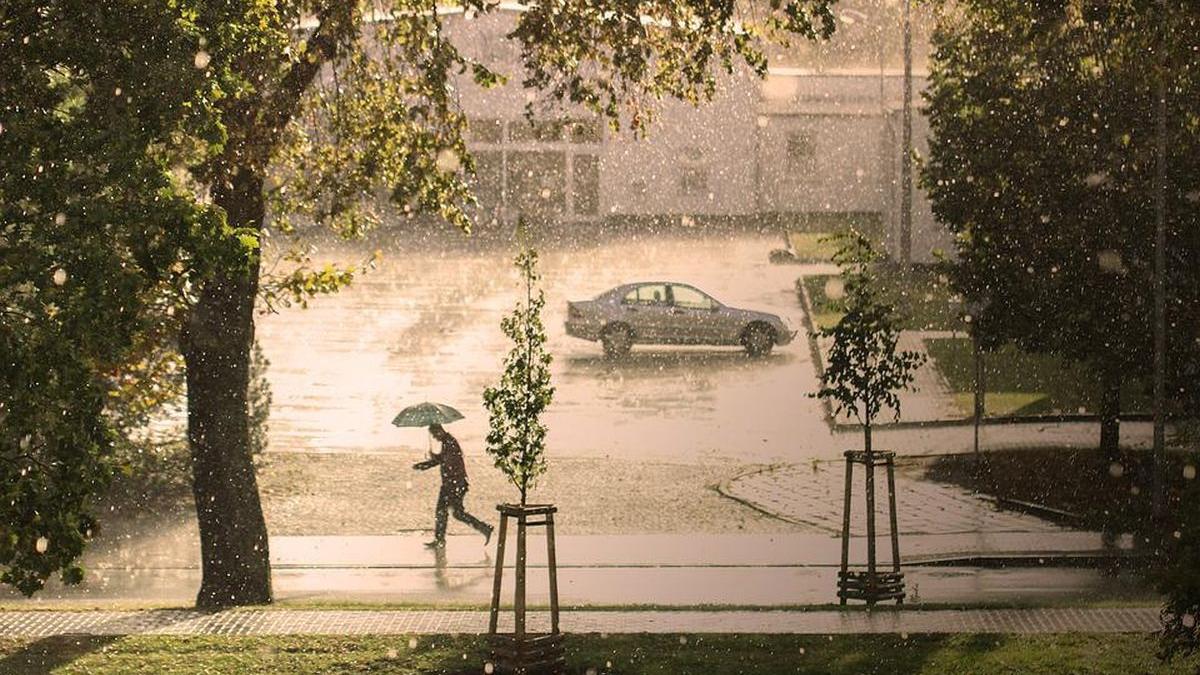 cod galben ploi vijelii romania 1 iunie 2022