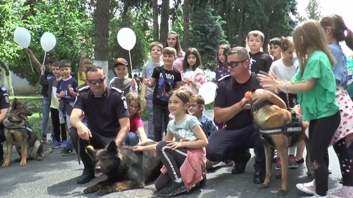 la multi ani 1 iunie copii spectacolele bucuresti surprize