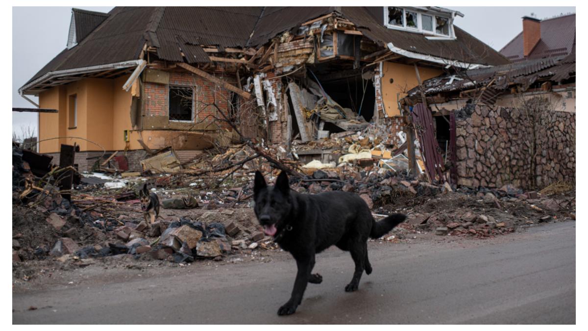 soldati rusi obligati sa manance caini ucraina
