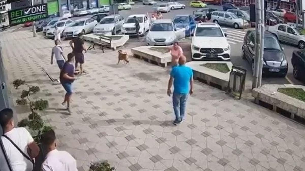 imagini cu rafuiala clanurilor din bacau impuscaturi si atacuri cu sabii si bolovani