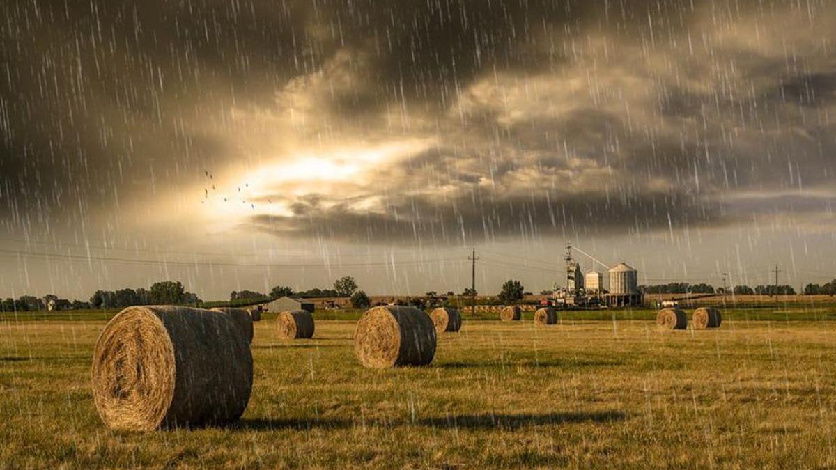 vremea prognoza meteo temperaturi weekend