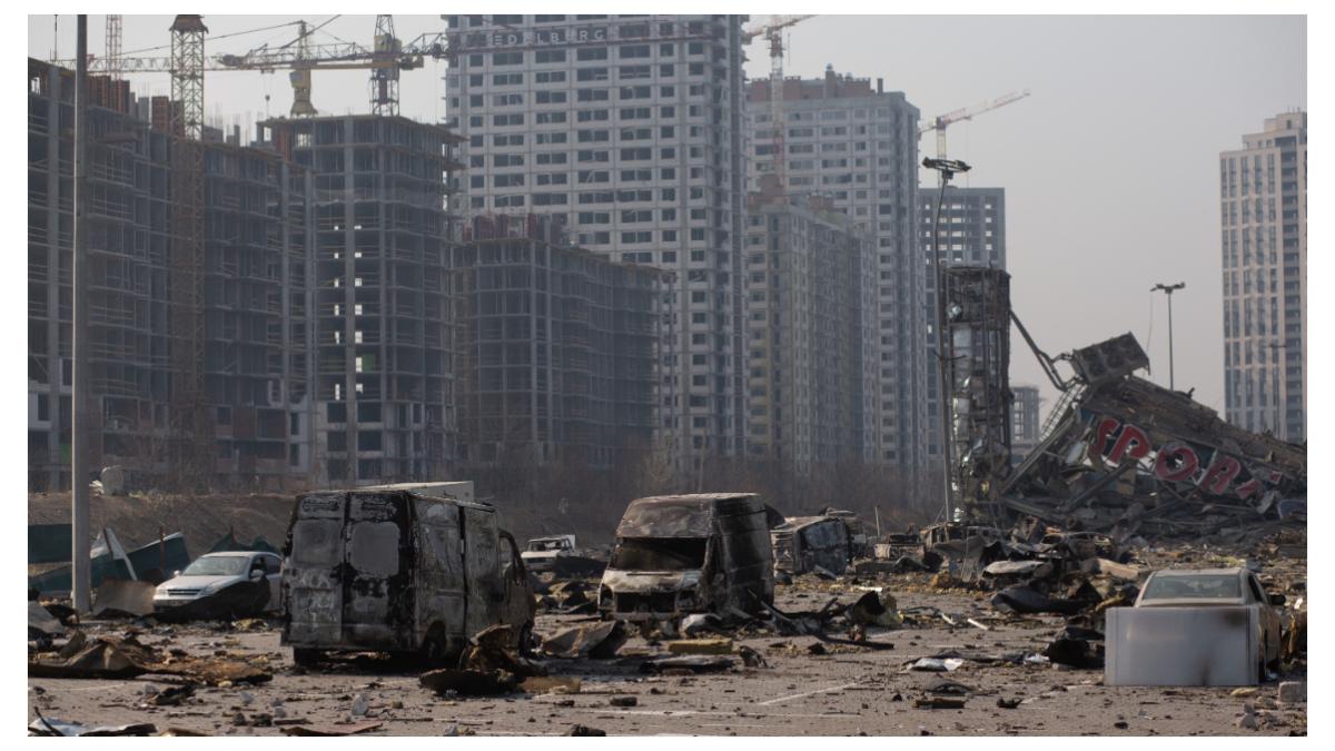 luptatori franta germani austria olanda morti razboi ucraina