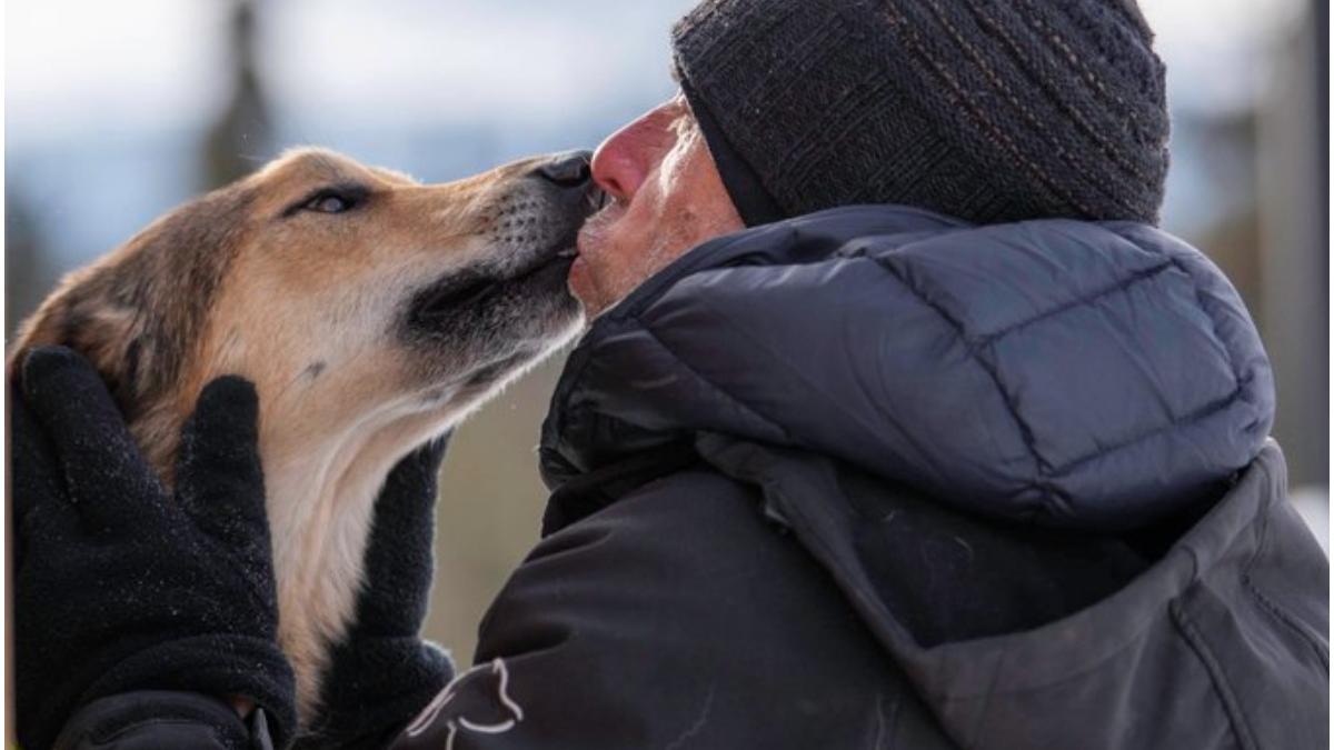 caine disparut alaska gasit dupa trei luni