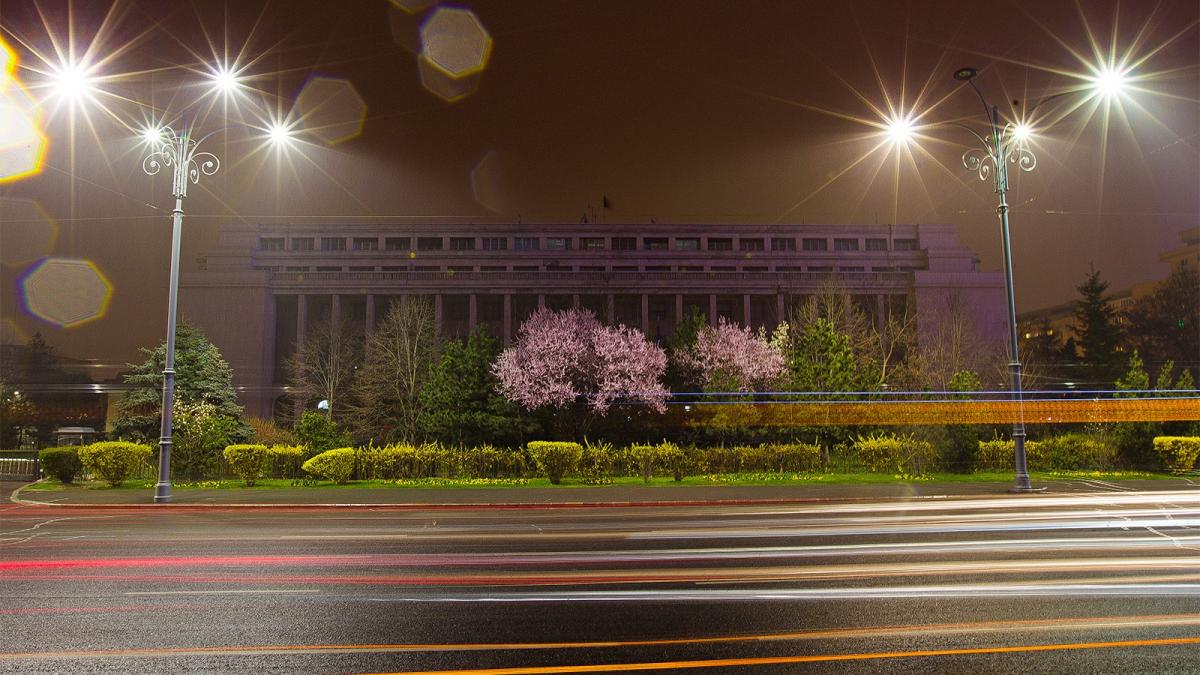 palatul victoria guvern iluminat roz ziua natioanala supravietuitori cancer