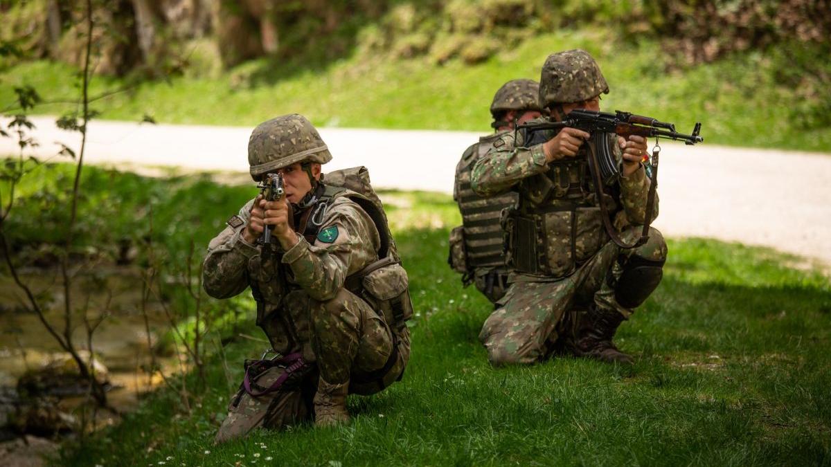 peste 5000 tineri bataie 1500 locuri armata bani castiga militari