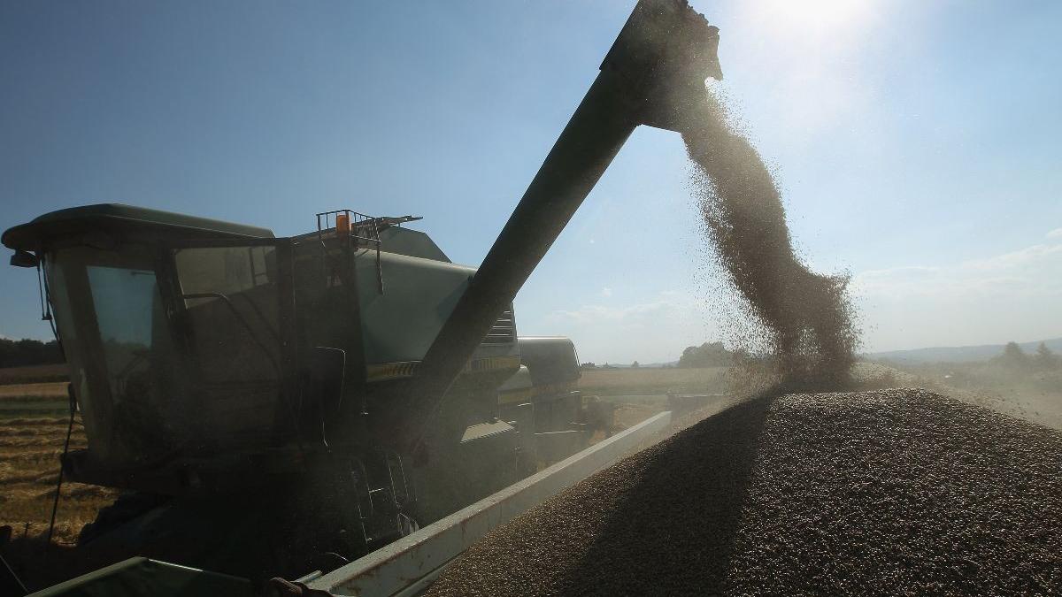 rezerve cereale romania raboi mondial paine