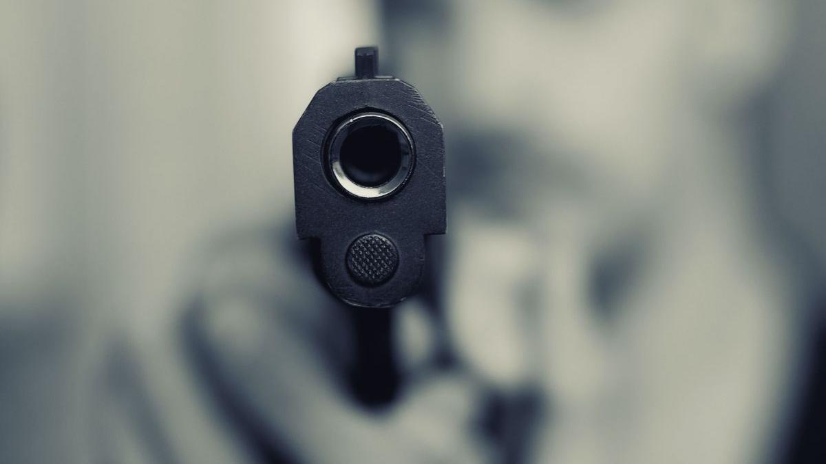 copil 2 ani tatal pistol calculator sua