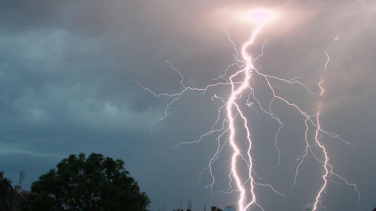 cod rosu ploi vijelii europa