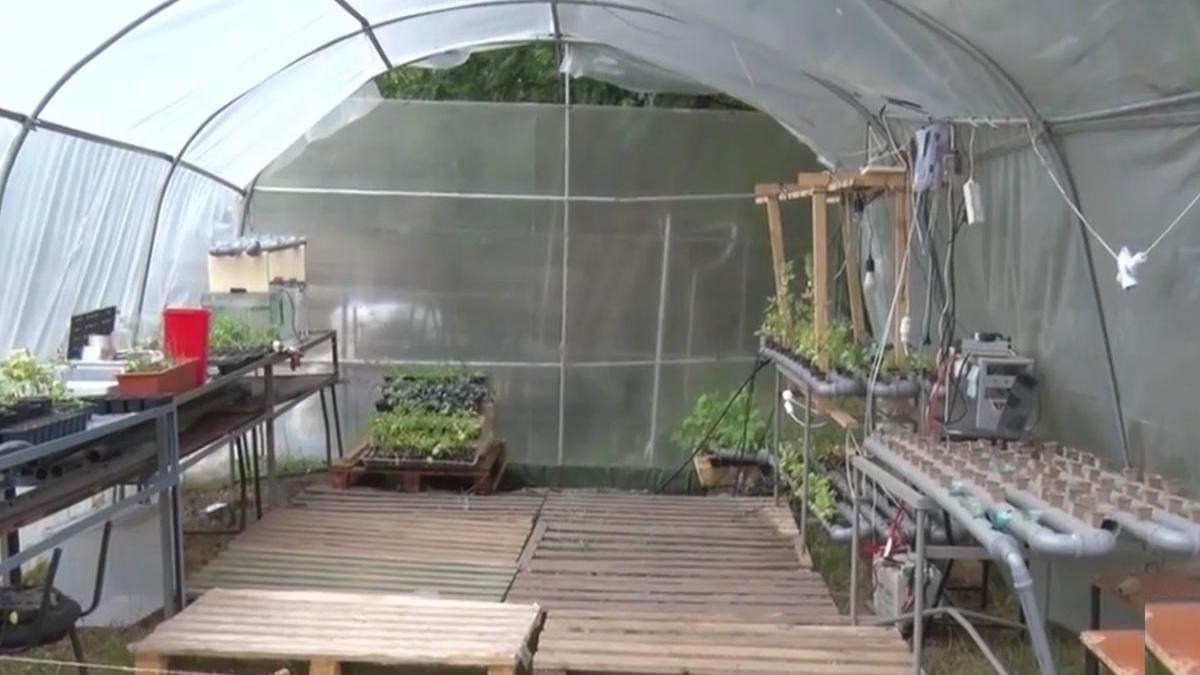 doi elevi galati creat sera bio automatizata curte liceu