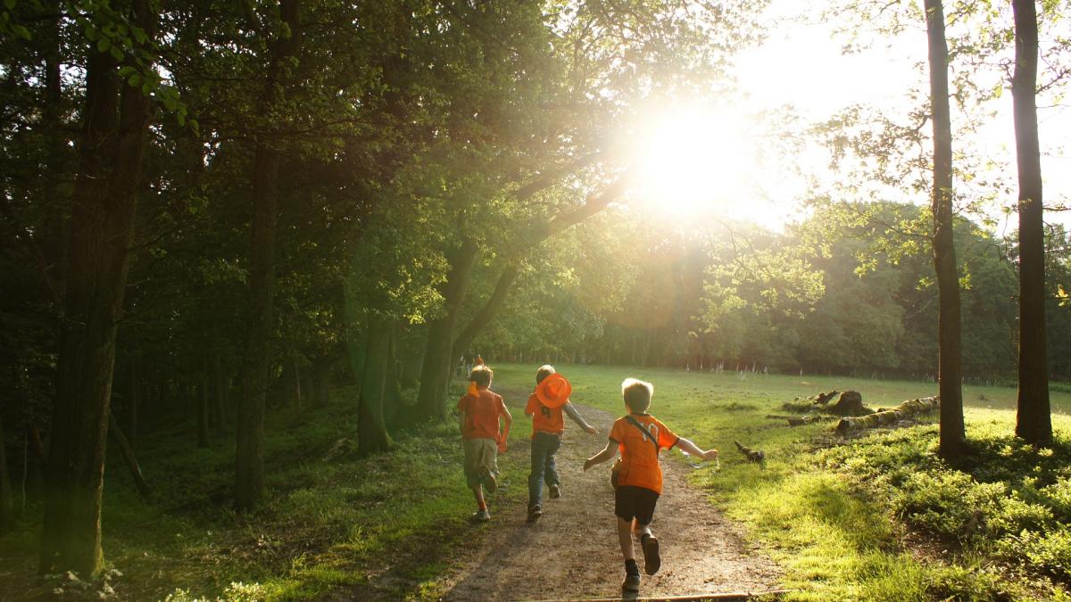 in sezonul cald apar urticariile rinitele ori crizele astmatice zeci de copii ajung la spital din