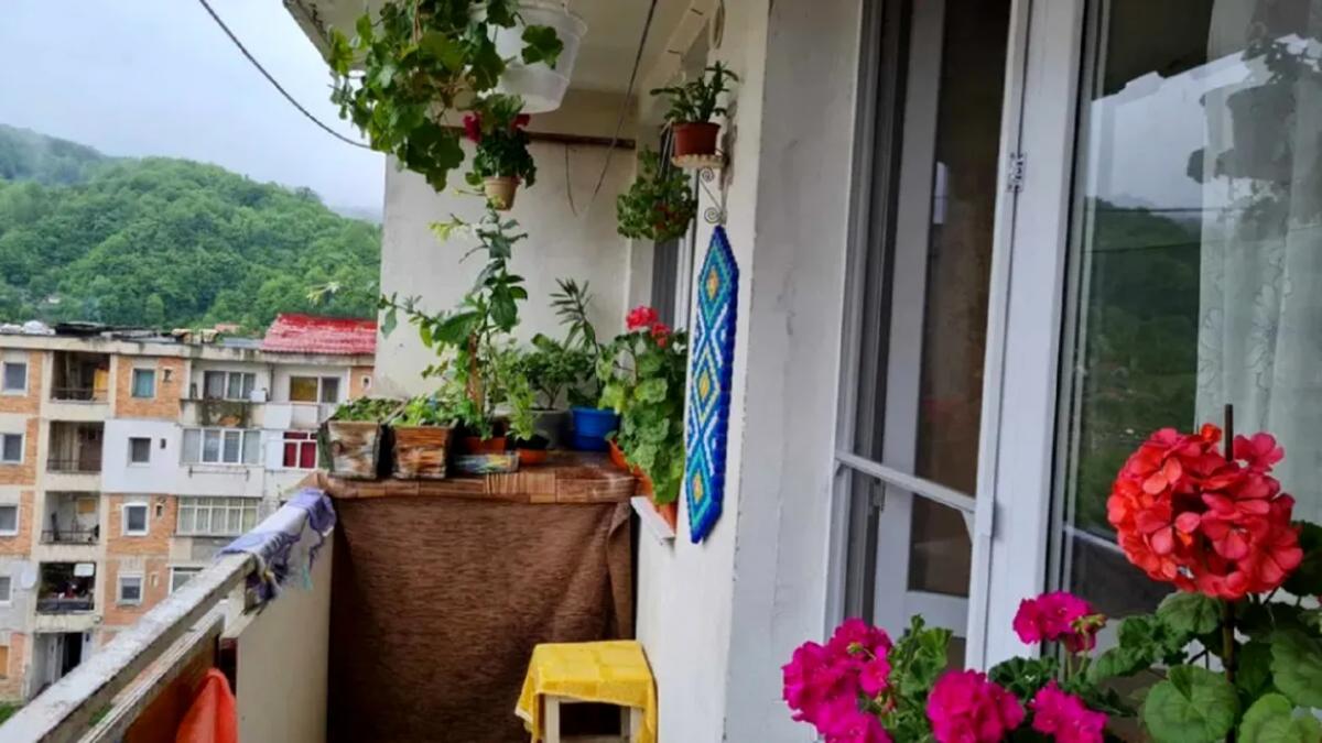 apartament 3 camere apropiere renumita statiune