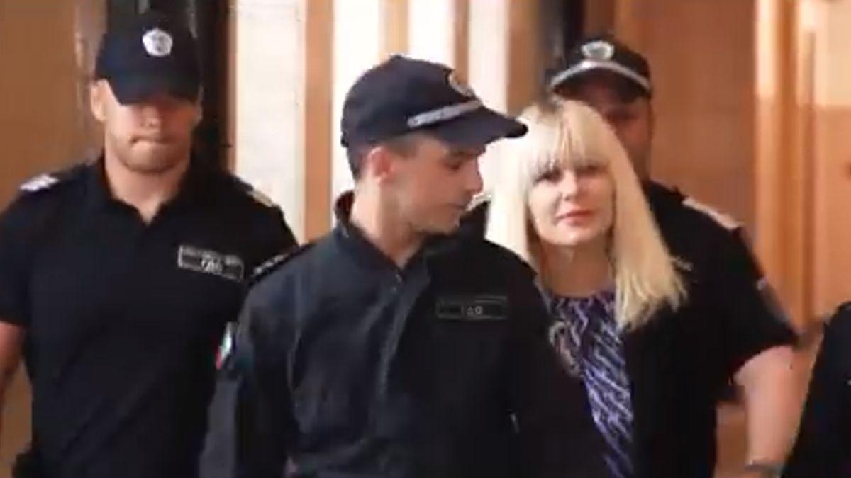 avocat elena udrea veronel radulescu decizie extradare romania