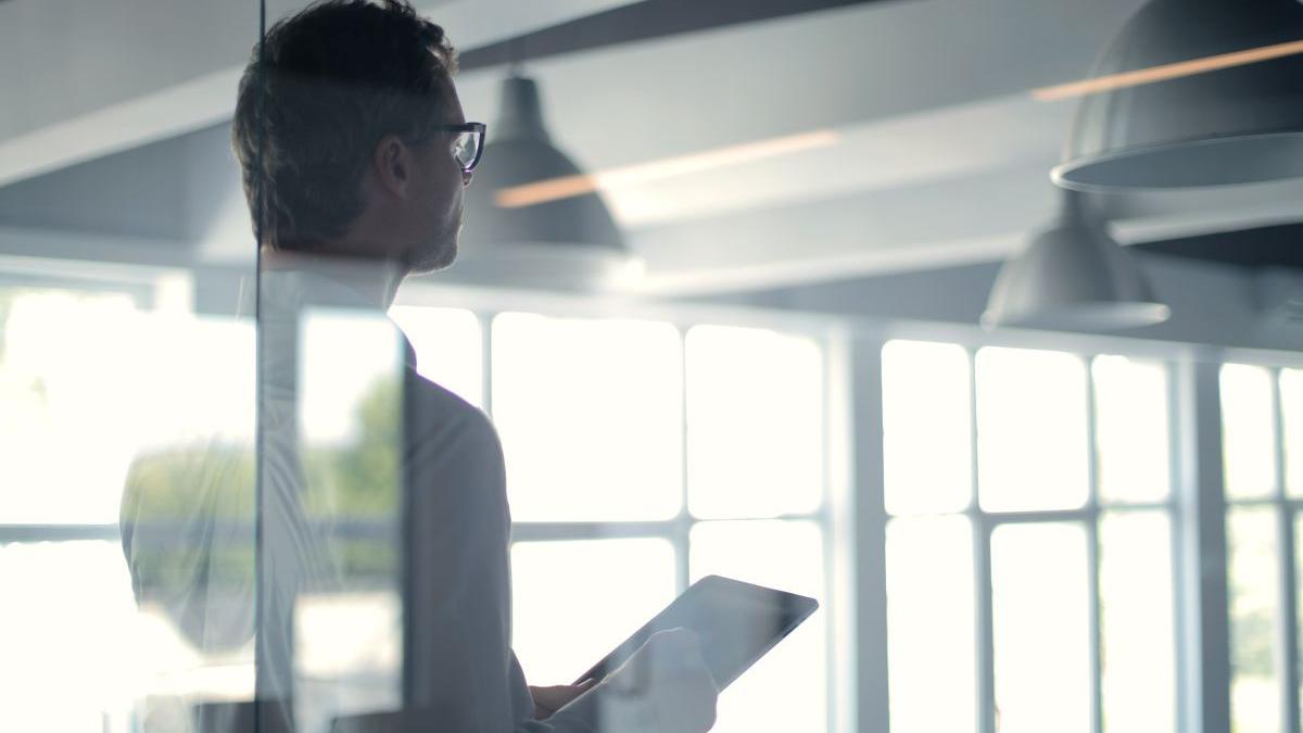 ce este portofel european identitate digitala cand intra vigoare cum se foloseste