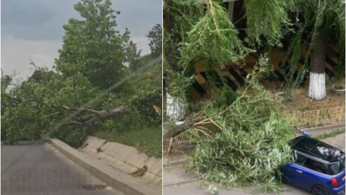 copaci cazuti masini avariate oradea furtuna vineri seara