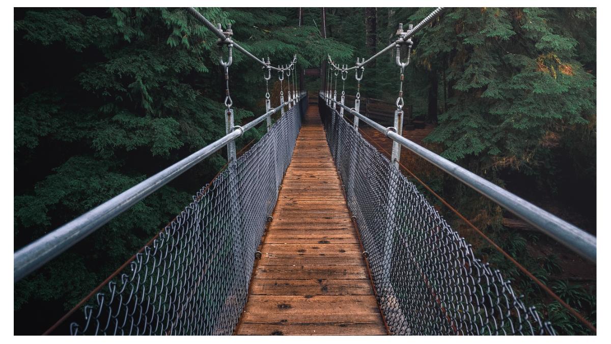 cautare jurnalist britanic trupe salvare cadavre jungla amazoniana