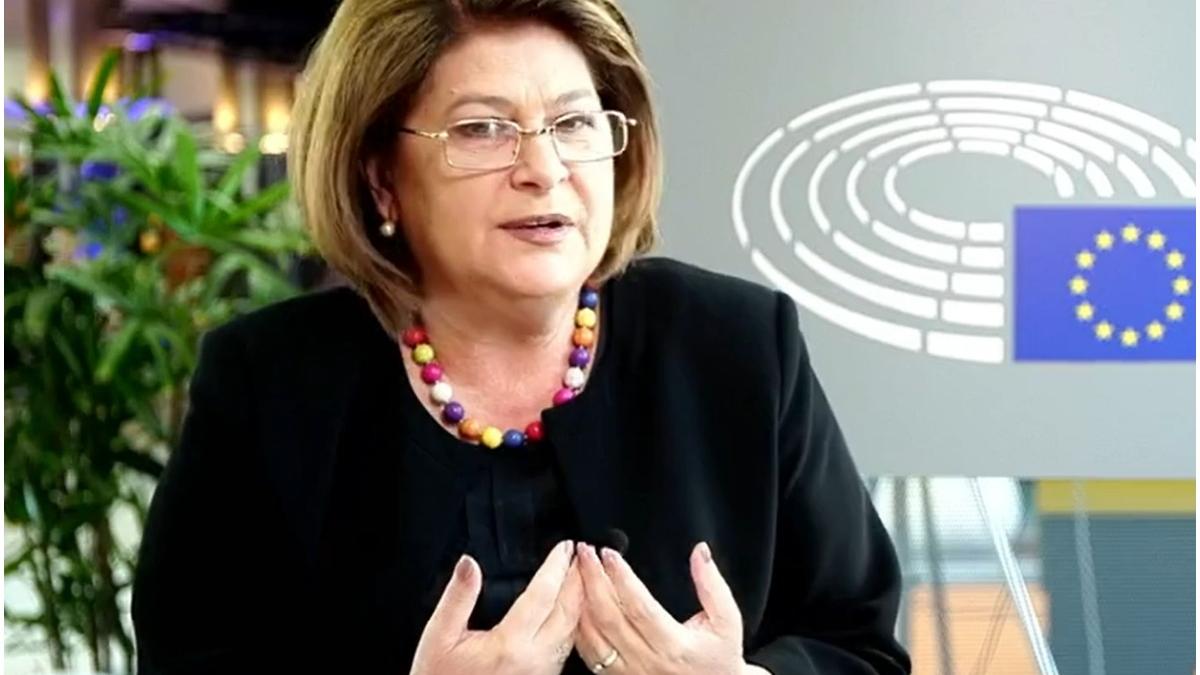 europarlamentarul rovana plumb