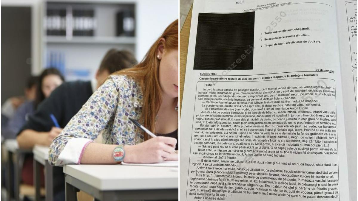 evaluare nationala 2022 subiecte limba literatura romana