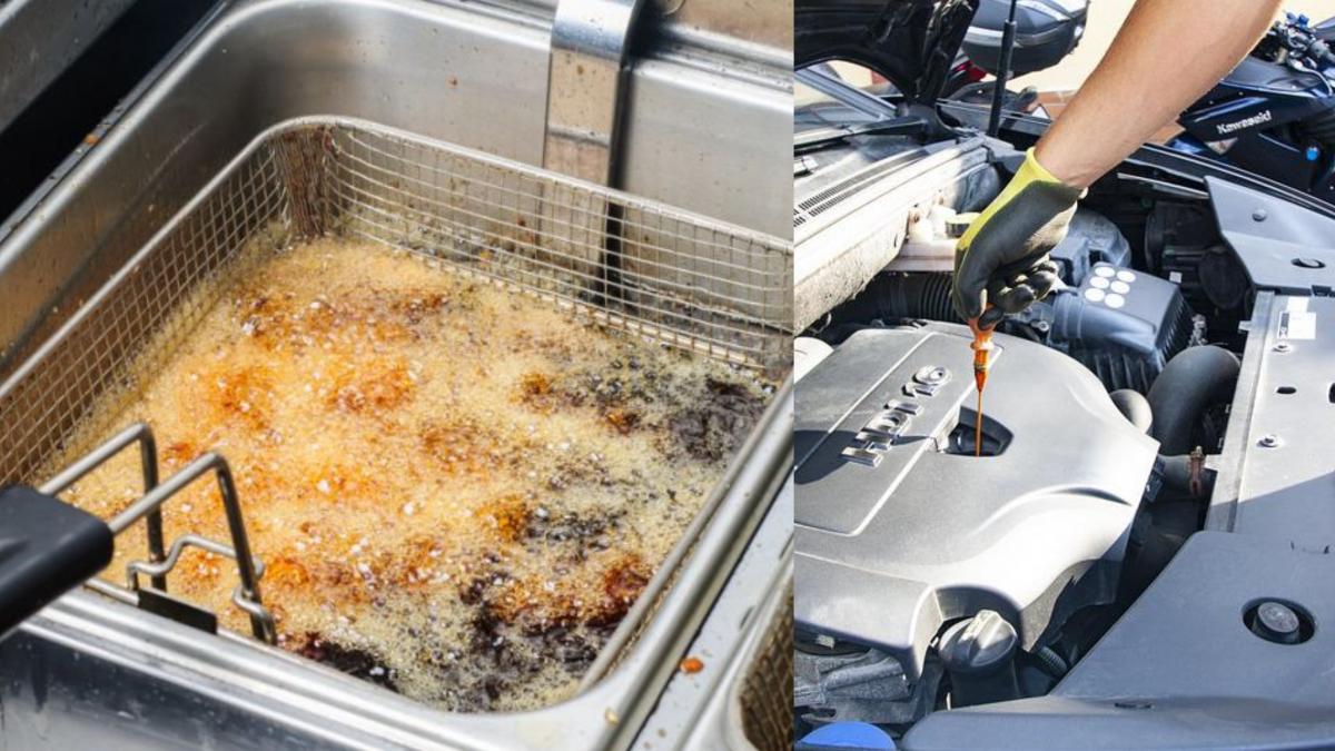 alimentare masina ulei gatit