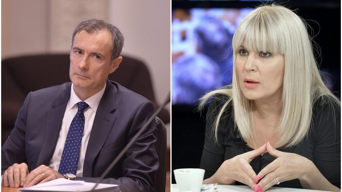 elena udrea mesaj florian coldea