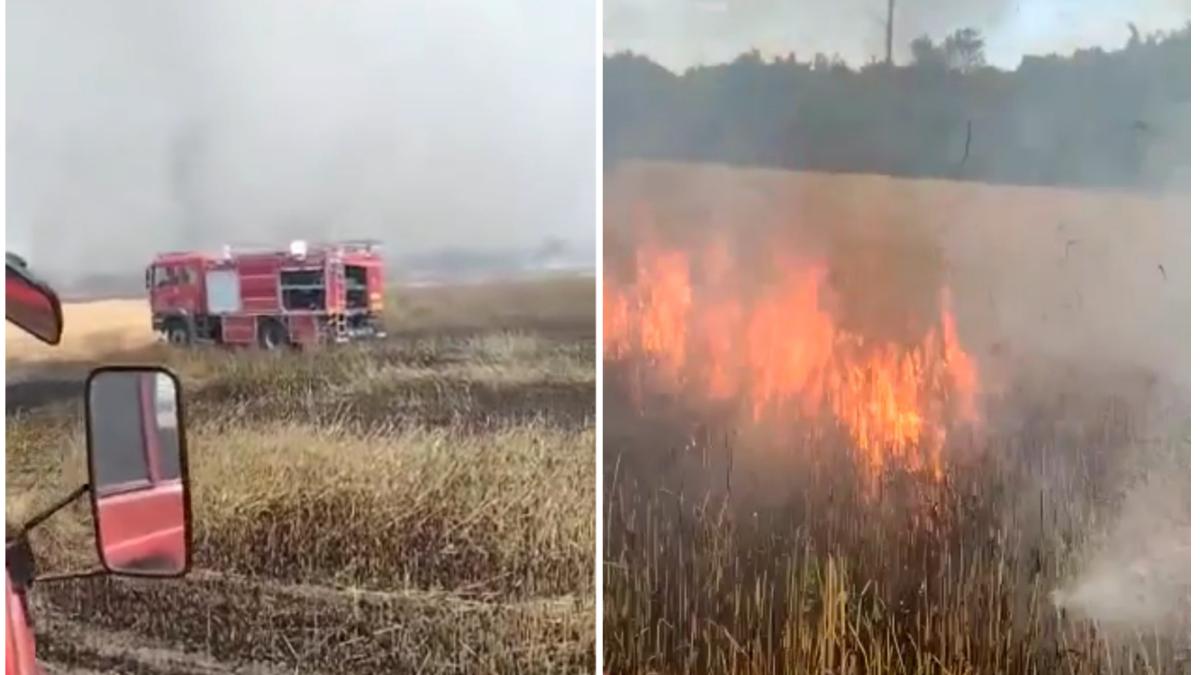 incendiu puternic iesire arad 15 hectare orz scrum