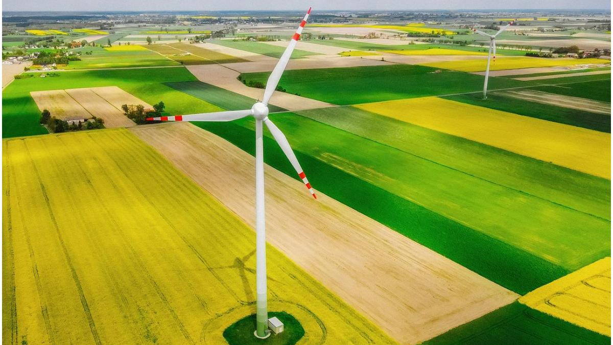 philip morris international raportul integrat 2021