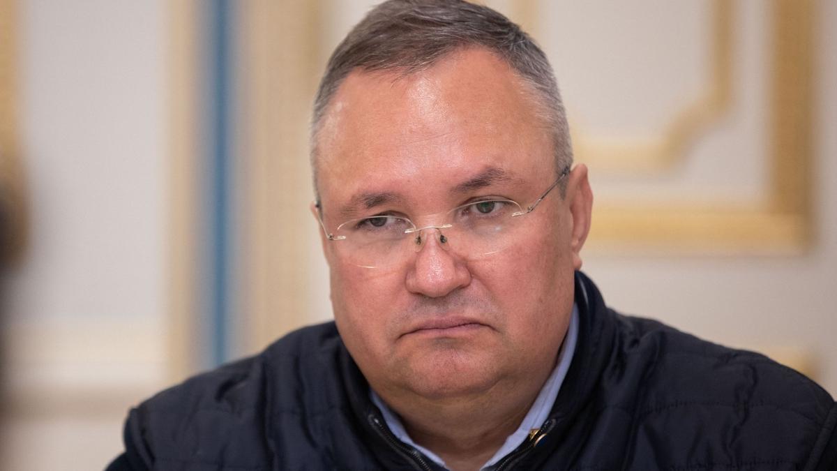 premier ciuca aplicare lege combatere ambrozie