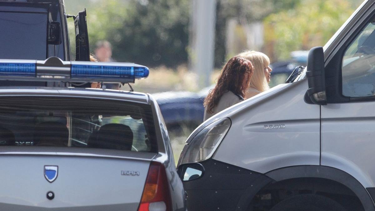 elena udrea plan eliberare inchisoare