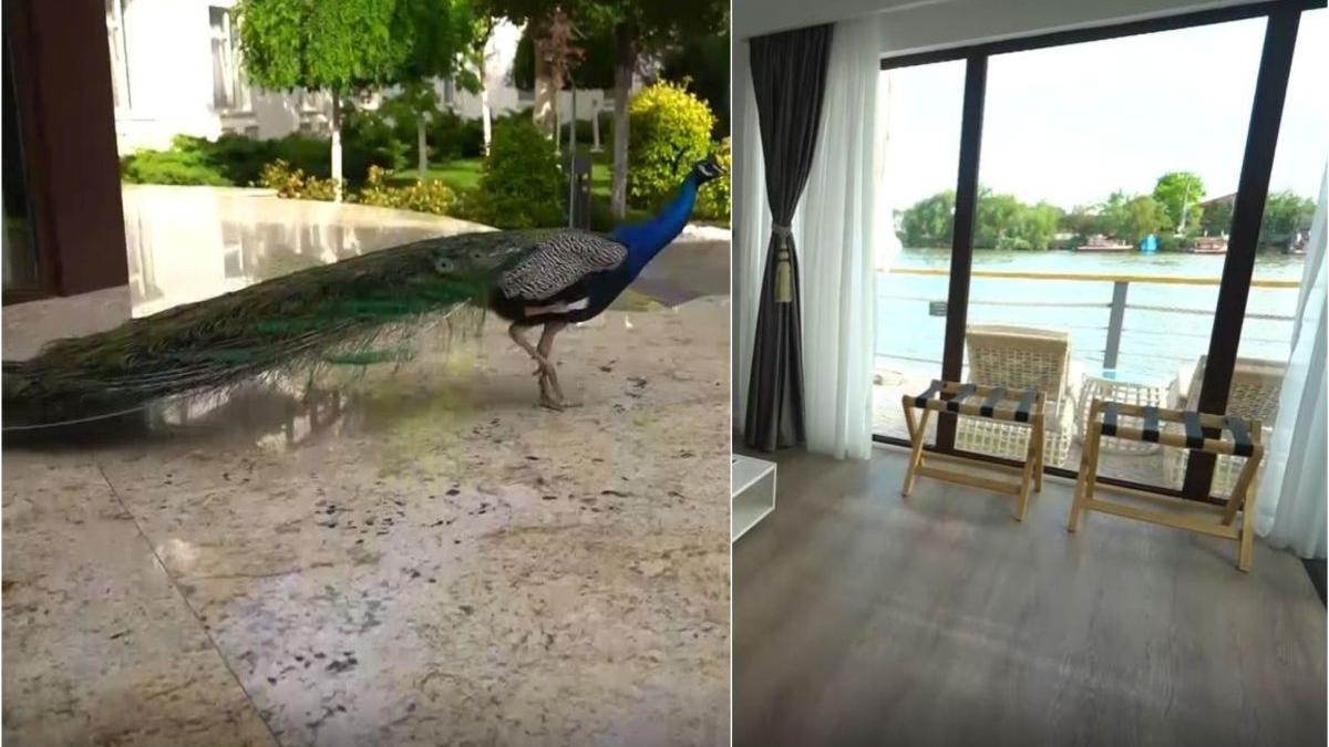 loc delta dunarii incarcare energie cat costa camera hotel cinci stele