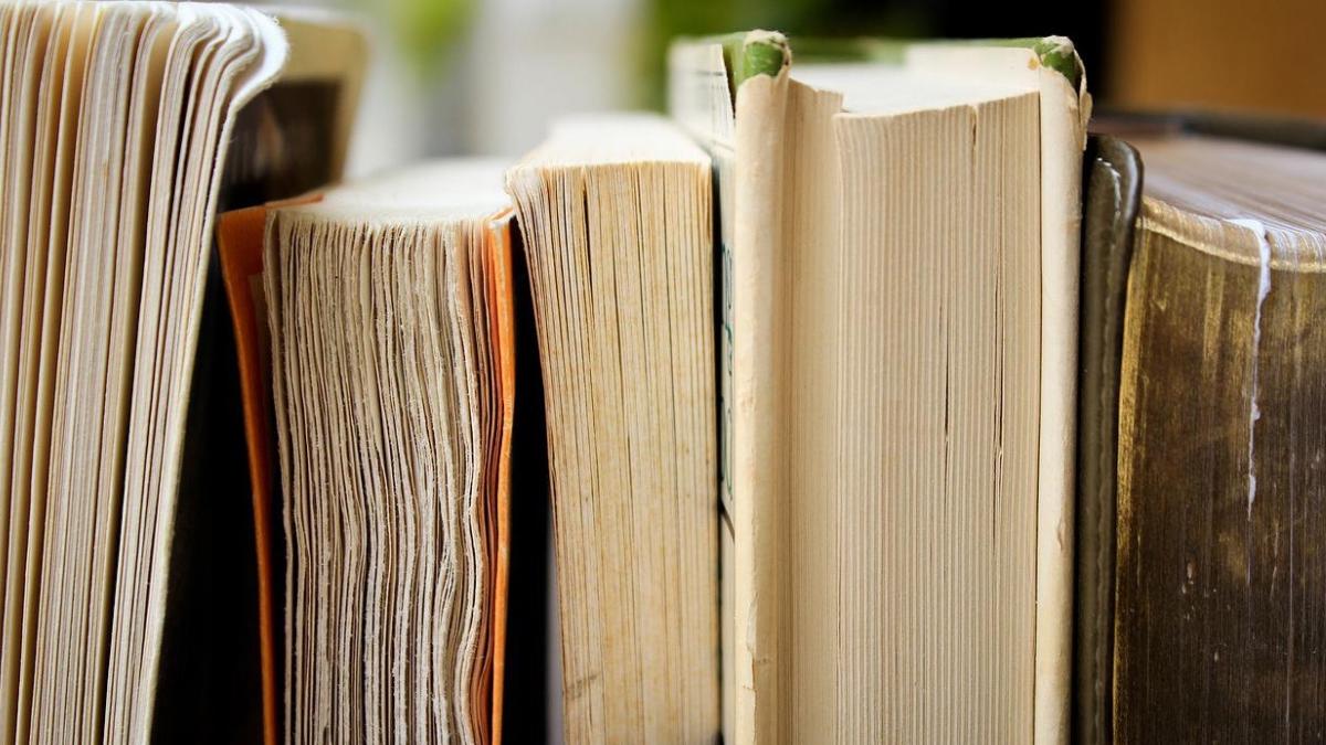 bacalaureat 2022 120 000 candidati examen proba scrisa limba literatura romana