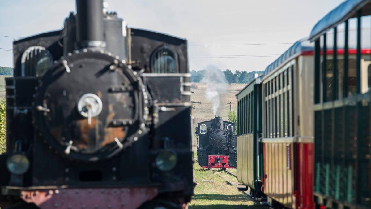 mocanita criscior tara motilor functiune 2 iulie