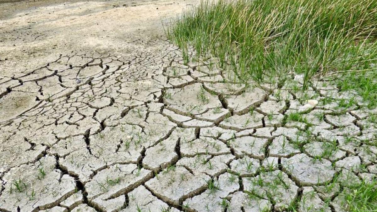 seceta severa romania canicula preturi