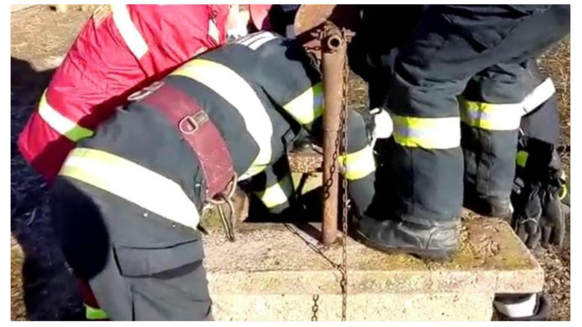 barbati vrancea cazuti in fantana tanasoaia