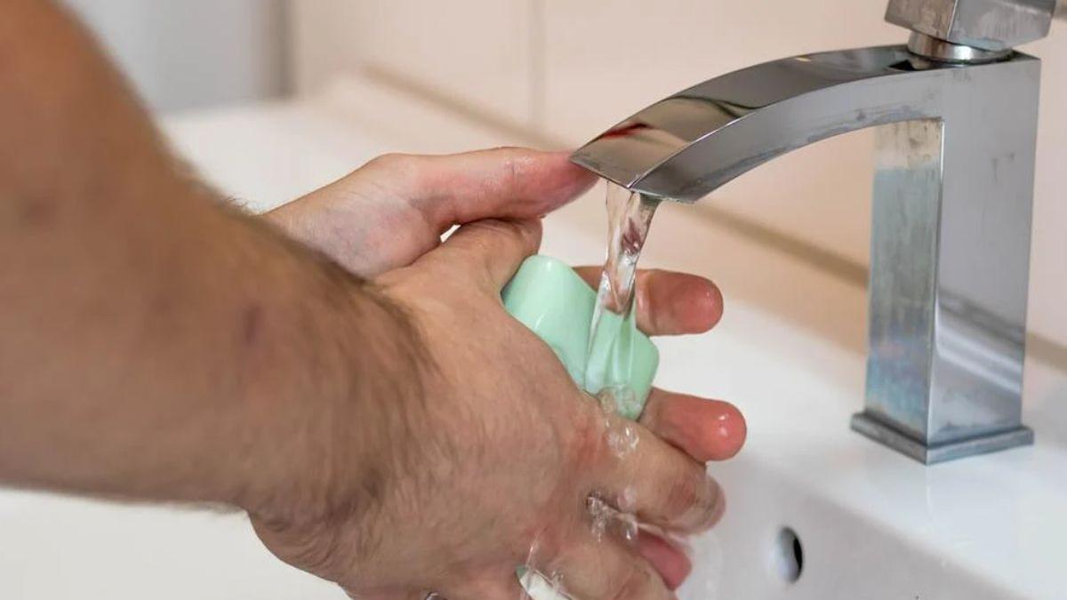 alerta holera romania suceava