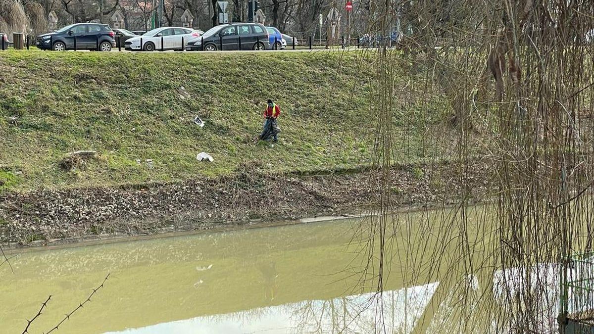 descoperire macabra timisoara trup neinsufletit barbat descoperit raul bega