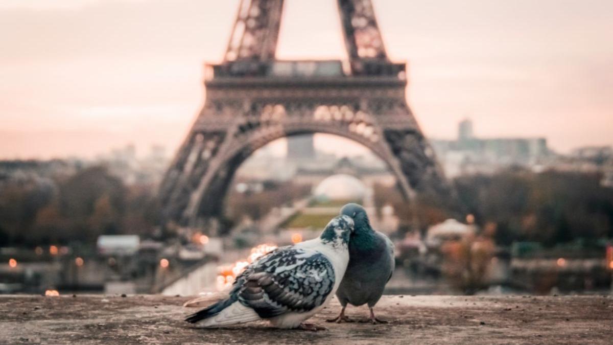 aventura romantica city break roma paris